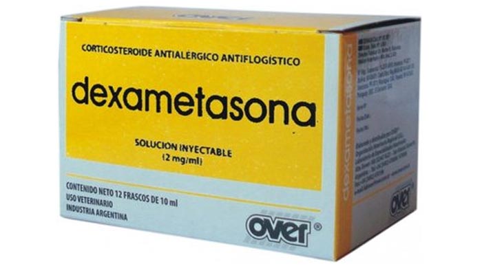 dexametasona